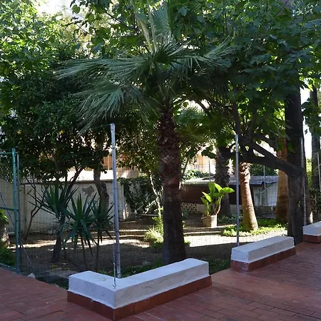 La Mimosa Palma de Mallorca